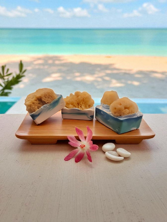 Silk Sea Sponge Soap