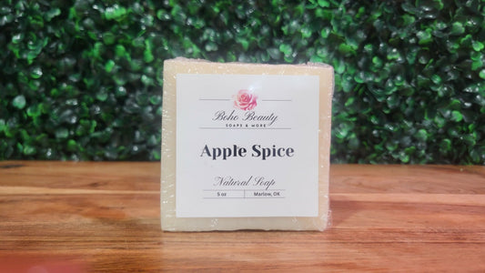 Apple Spice Natural Earth Collection Soap